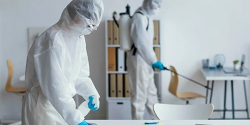 Expert Termite and Rodent Control