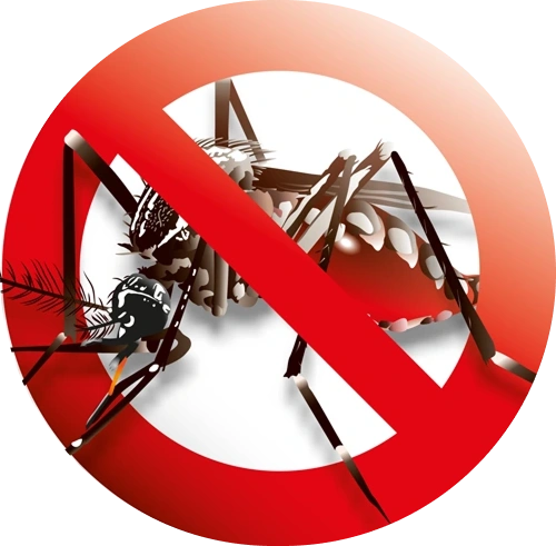 Top Mosquito Fogging Services in Coimbatore