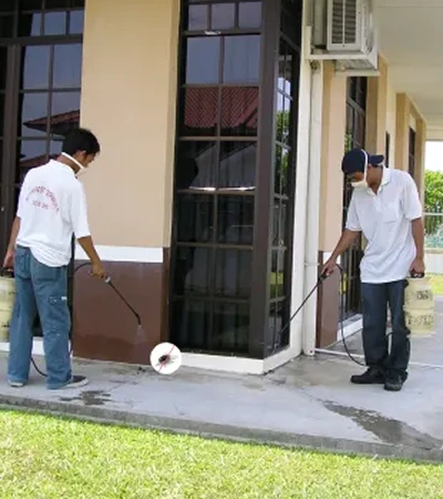 Pest control in Coimbatore